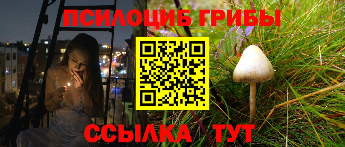 Галлюциногенные грибы Psilocybe  Вход с VPN  Галлюциногенные грибы MAGIC MUSHROOMS  Москва 