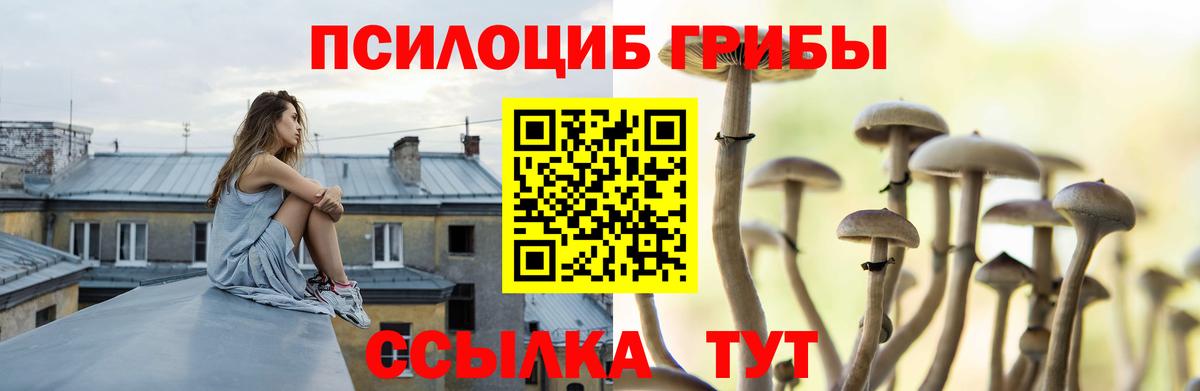 Галлюциногенные грибы MAGIC MUSHROOMS Москва