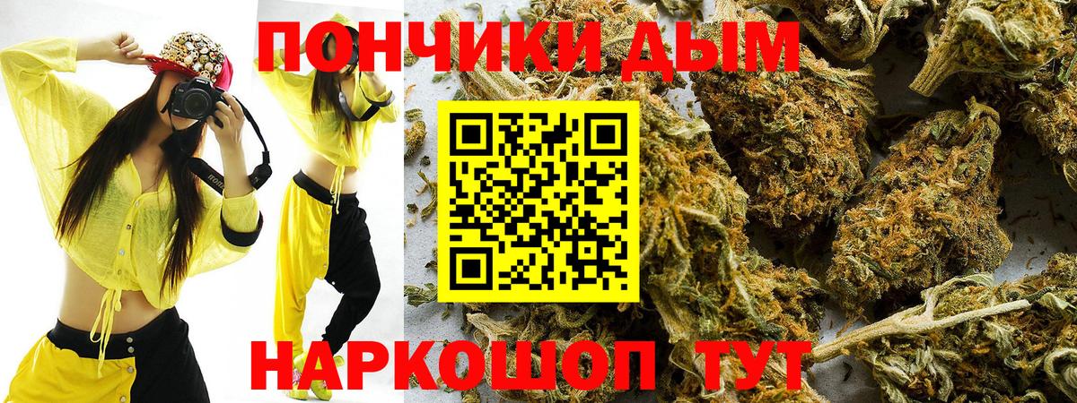 Бошки марихуана конопля Москва